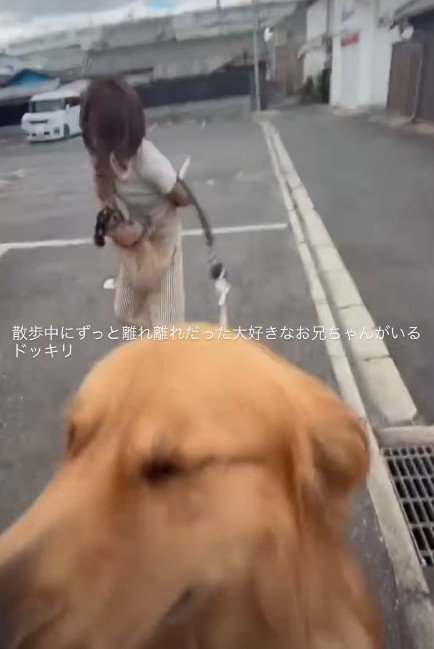 「やっぱりお兄ちゃんだ～」
