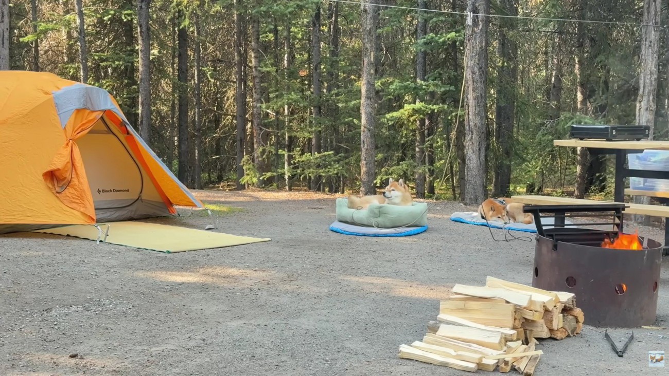 テントも張って快適な空間に