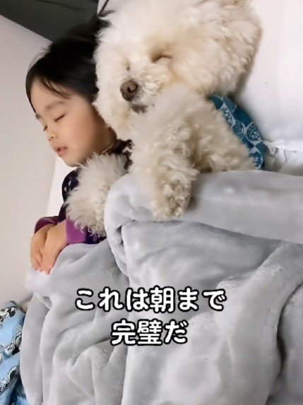 これなら大丈夫だね