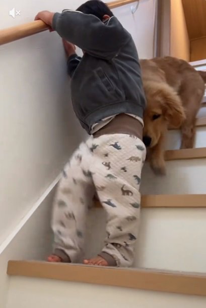 見守るころもちゃん