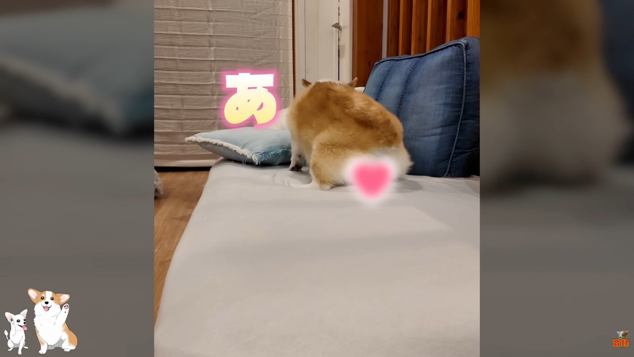 最後にまさかのハプニング発生
