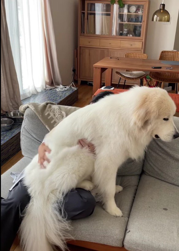 表情も赤ちゃんみたい♪