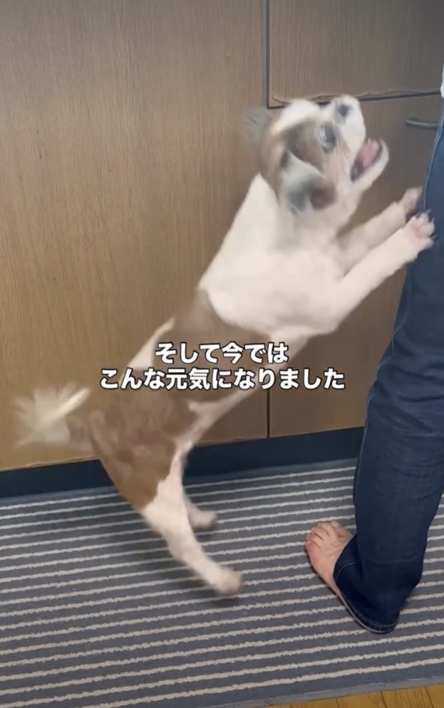 ぴょーんっ！