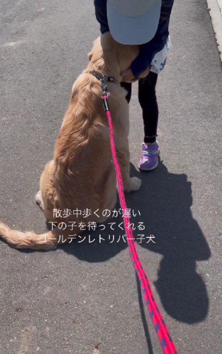 今ではすっかり仲良しに