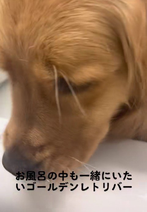 ひまりちゃんが侵入！！