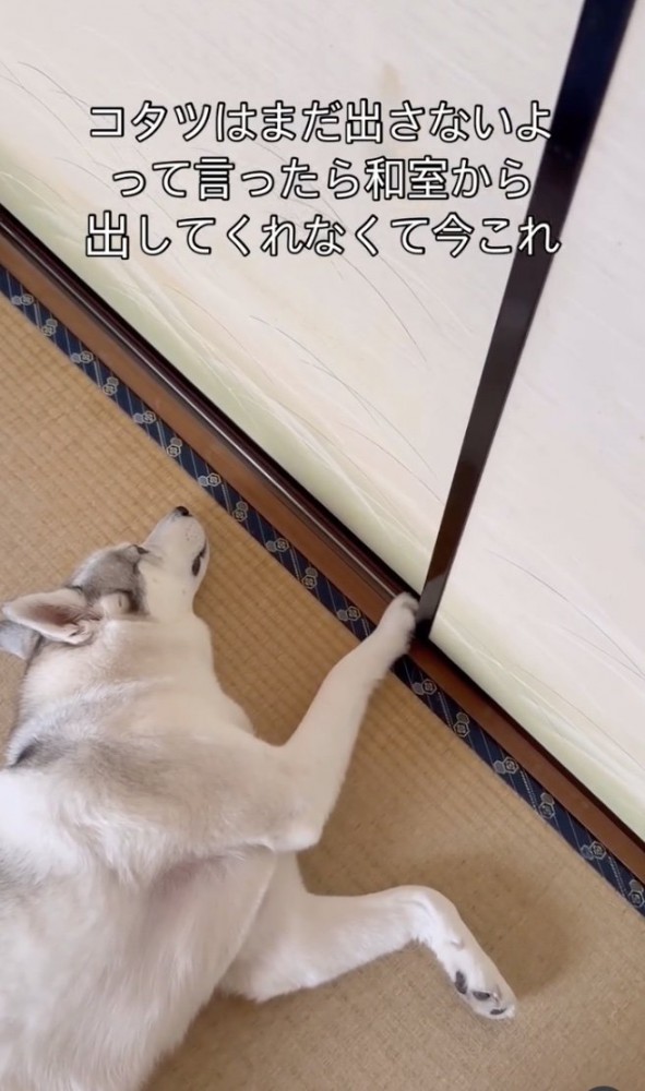 そっと閉める！