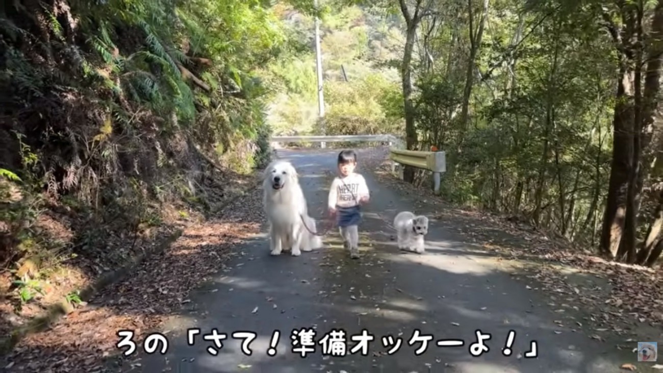 準備万端のろのちゃん