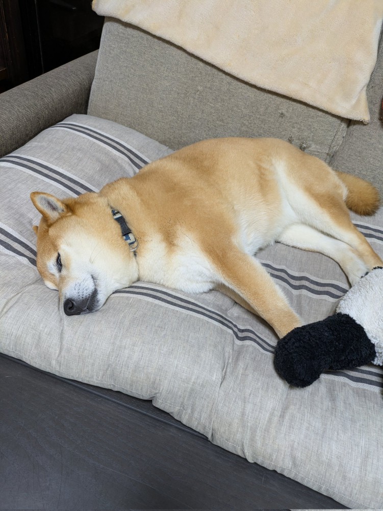 のんびり