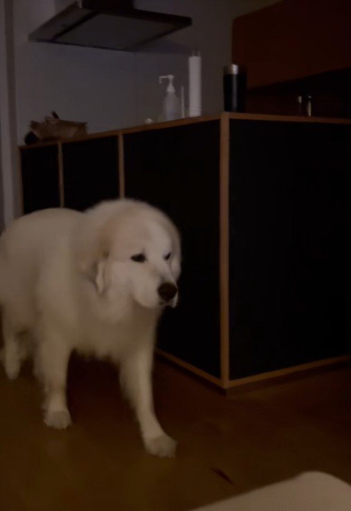 甘えにくるかと思いきや…？