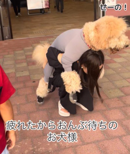 ここでもおんぶ！！