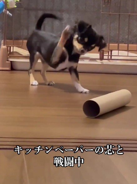 大きく振りかぶって…