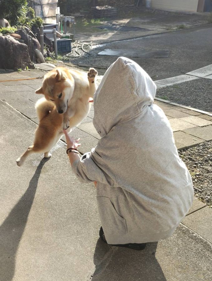 尊い