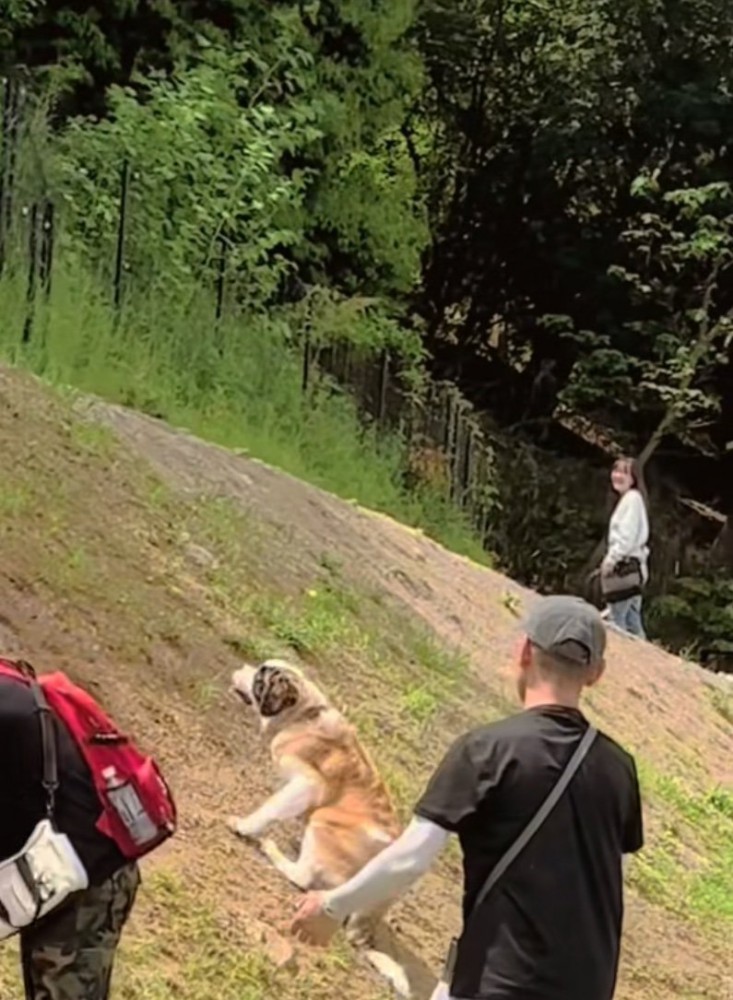 見上げるおもちちゃん