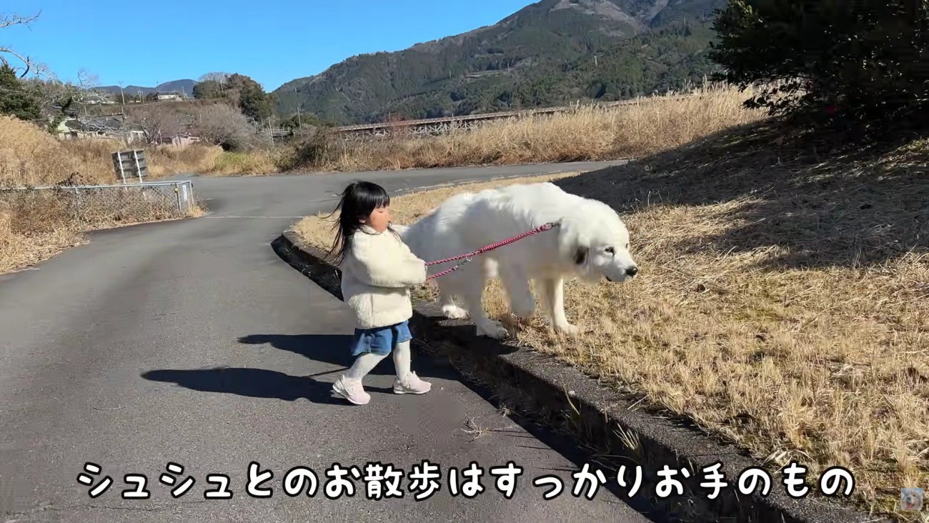シュシュちゃんと散歩するLONOちゃん