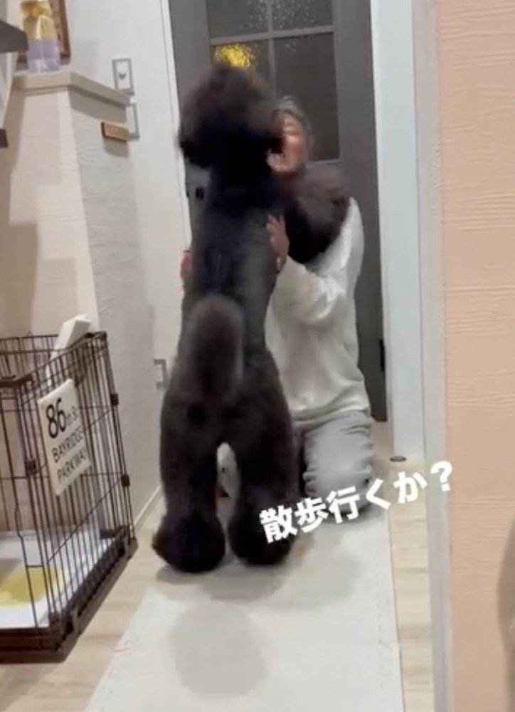 飛びついて喜ぶ犬