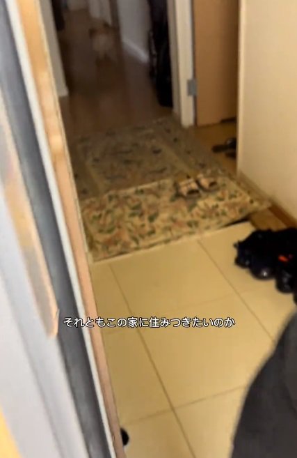 奥へ進むちょっちゃん