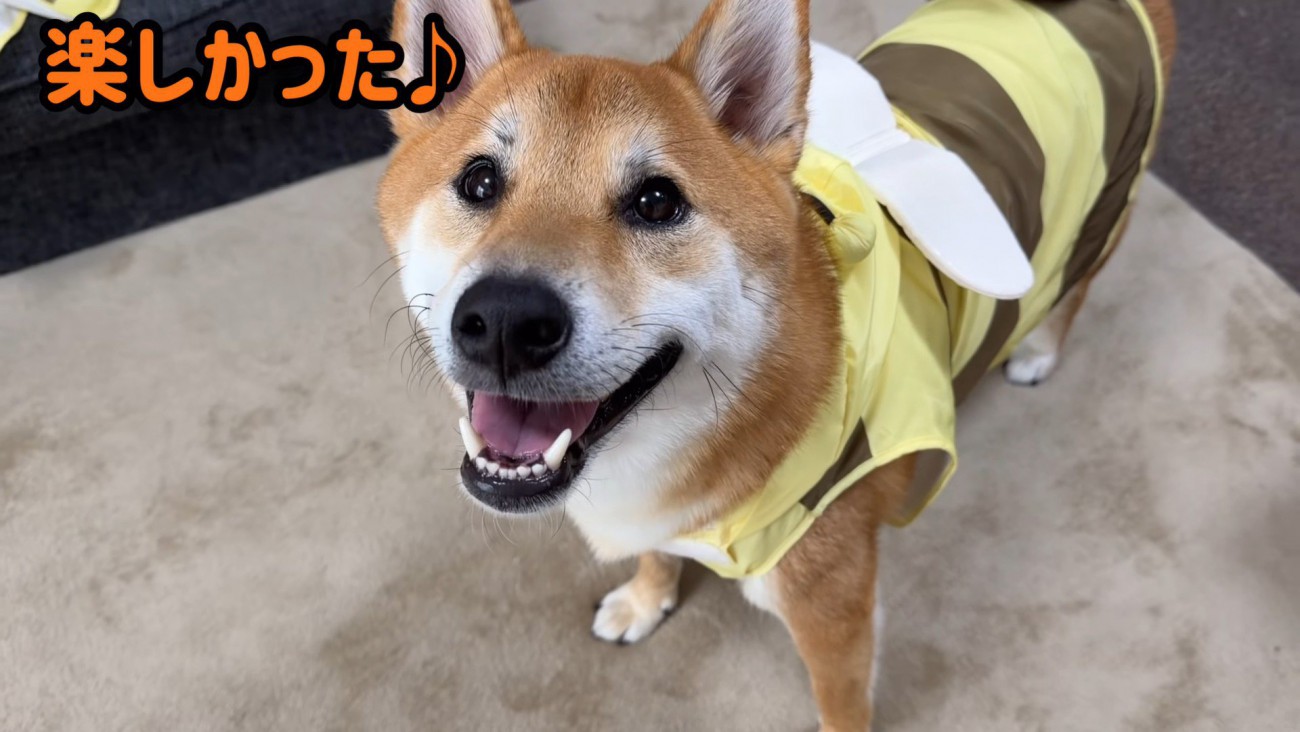 帰宅後の笑顔♪
