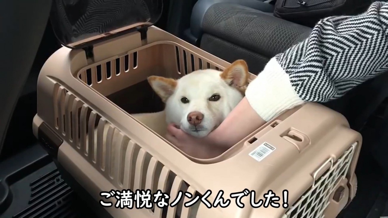 車に乗って一緒にお家へ♪