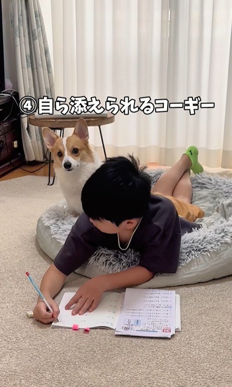 宿題中の男の子とココちゃん7