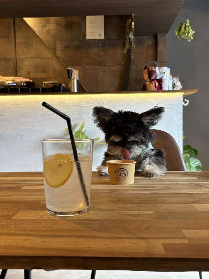 カフェ