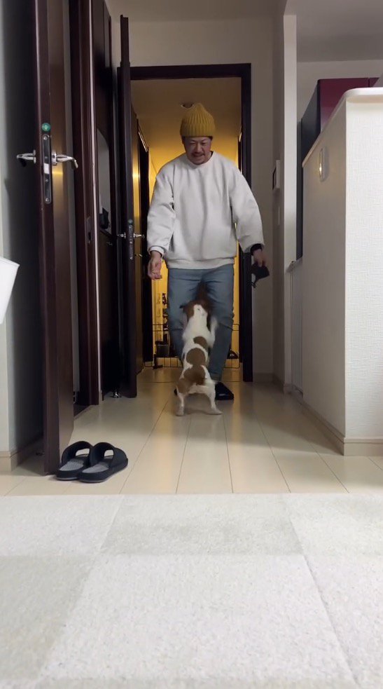 男性の足に自分の前足をかける犬