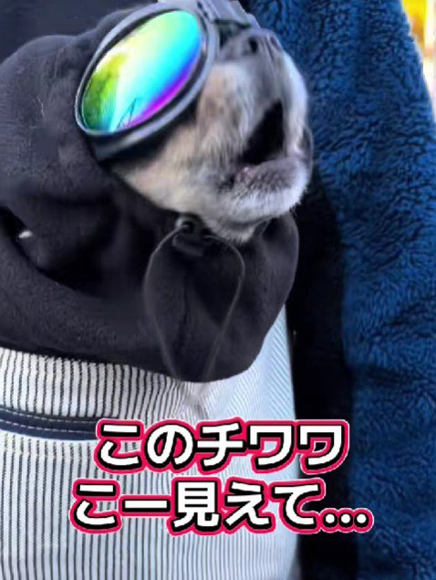 バイクまで乗りこなす