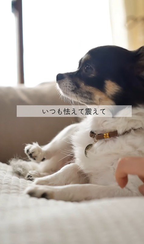 しずくちゃんの変化3