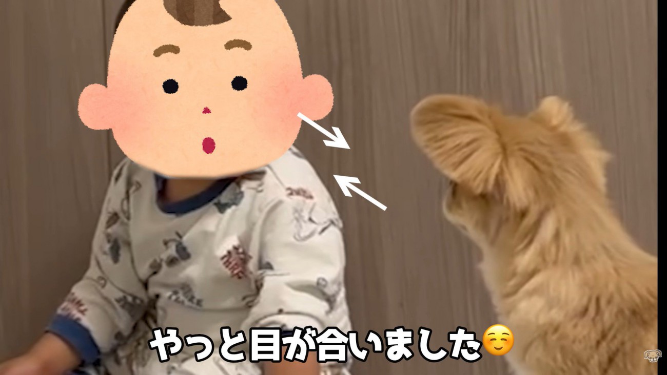 目が合いました！