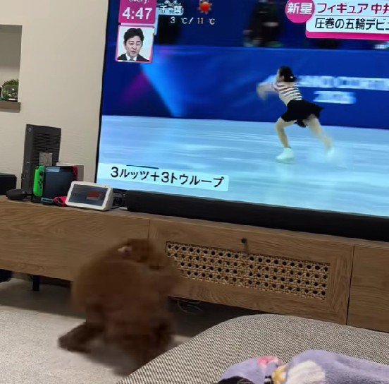 クルクル回り始めた