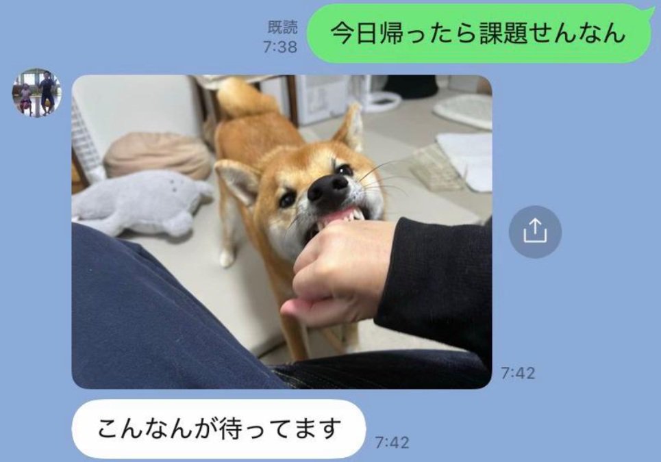 ムキ顔のふうたくん