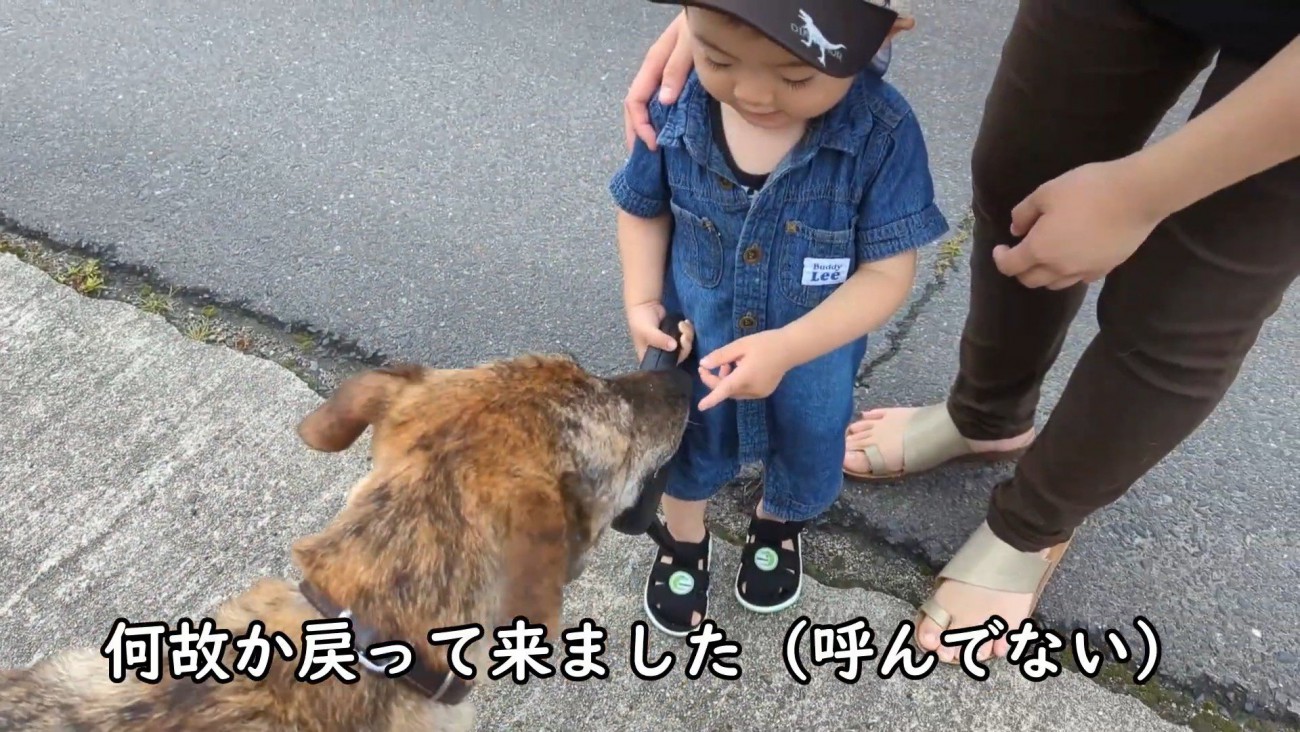 仲良しで尊い♡