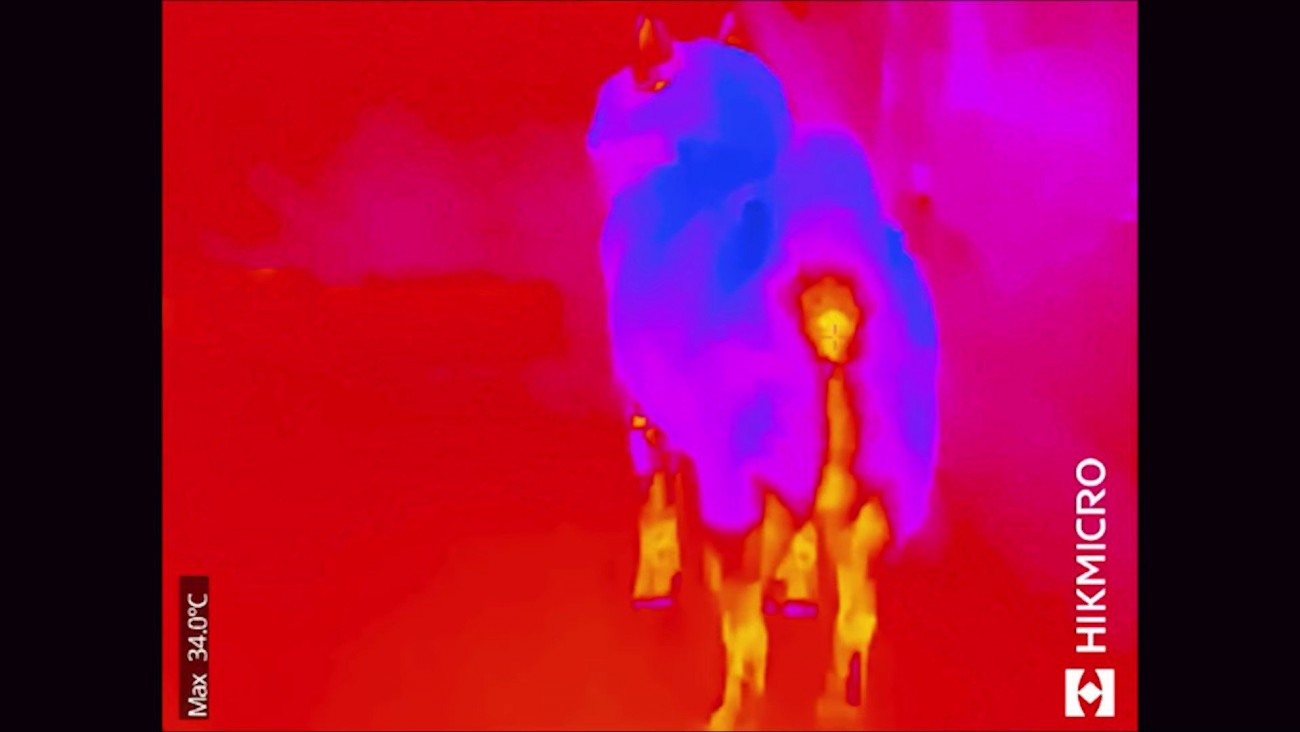 お尻と足が温かそう…！