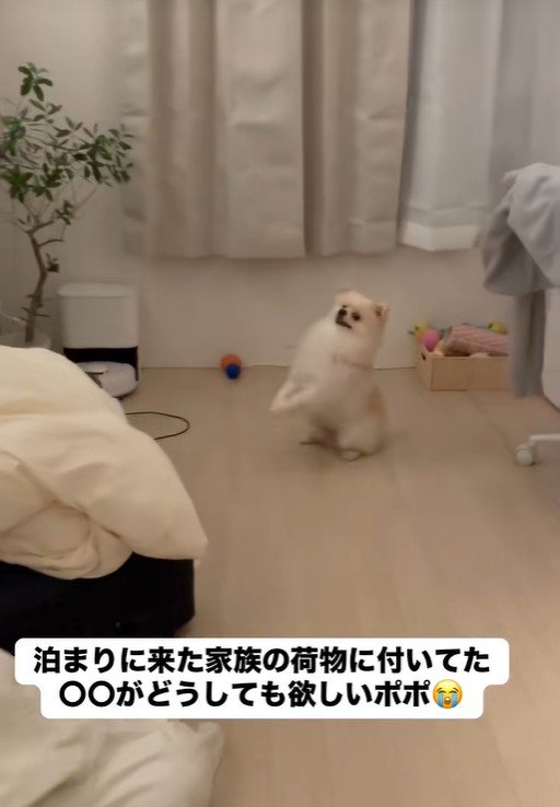 「ちょうだい！ちょうだい！」