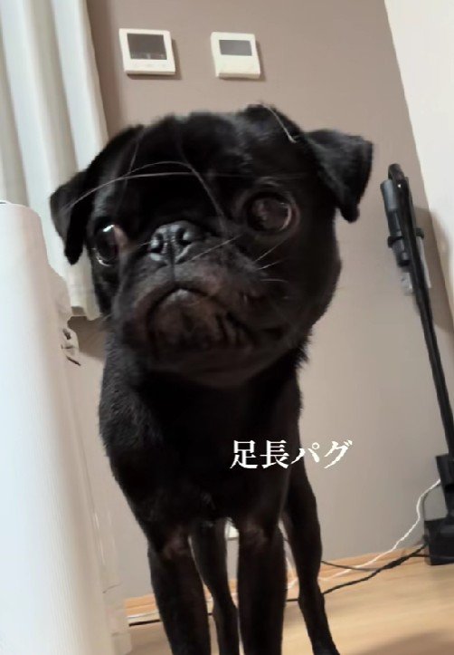 足元を見てみると…