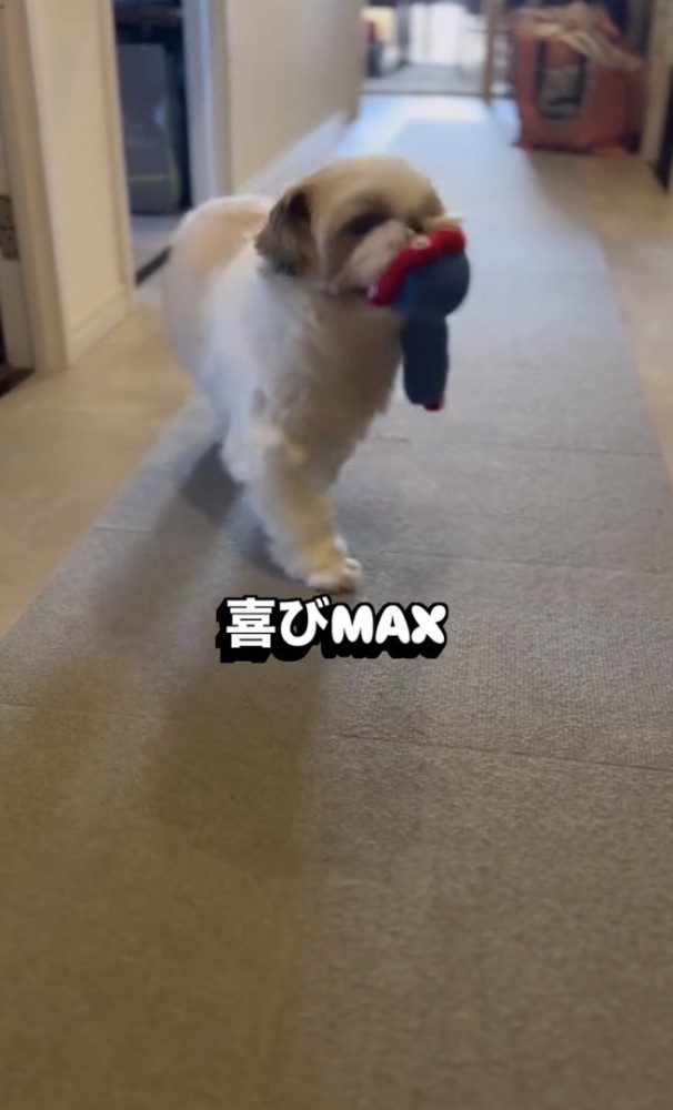 パパへの愛情たっぷりです