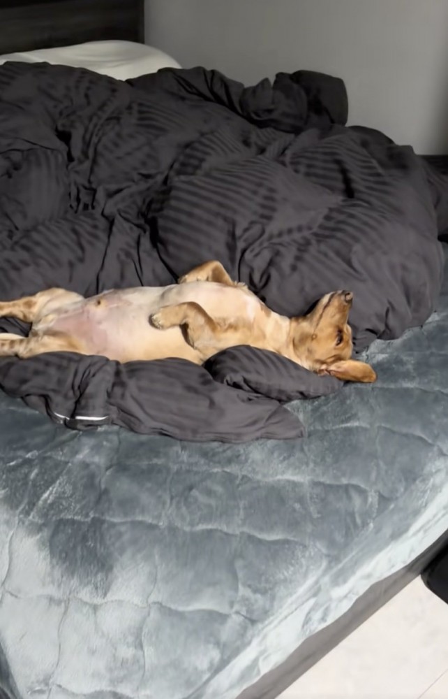 「腰に効くわぁ〜」の表情