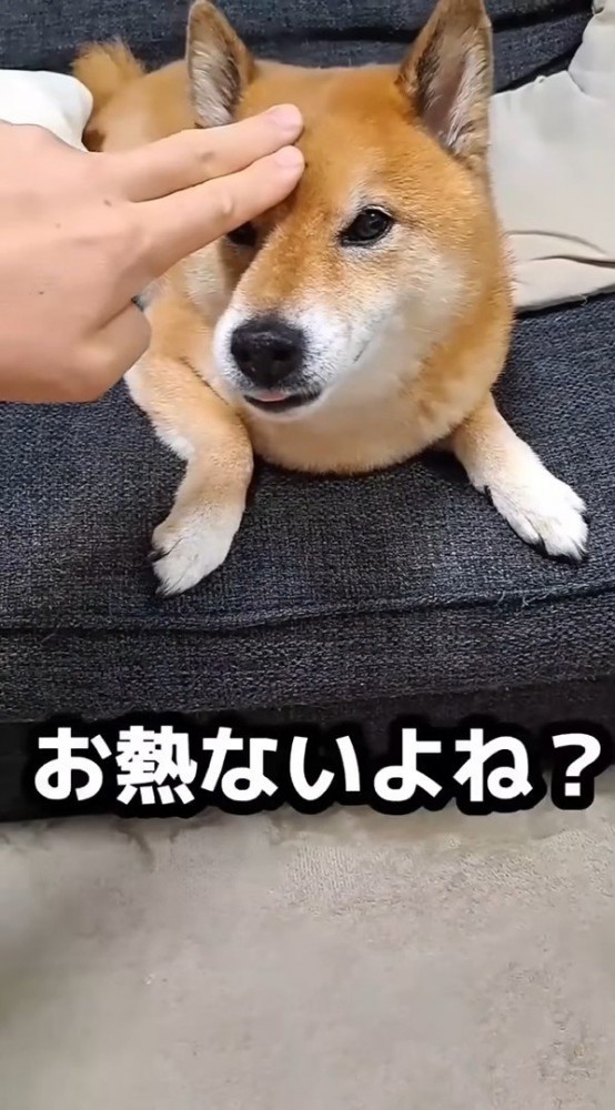 熱を測って説得