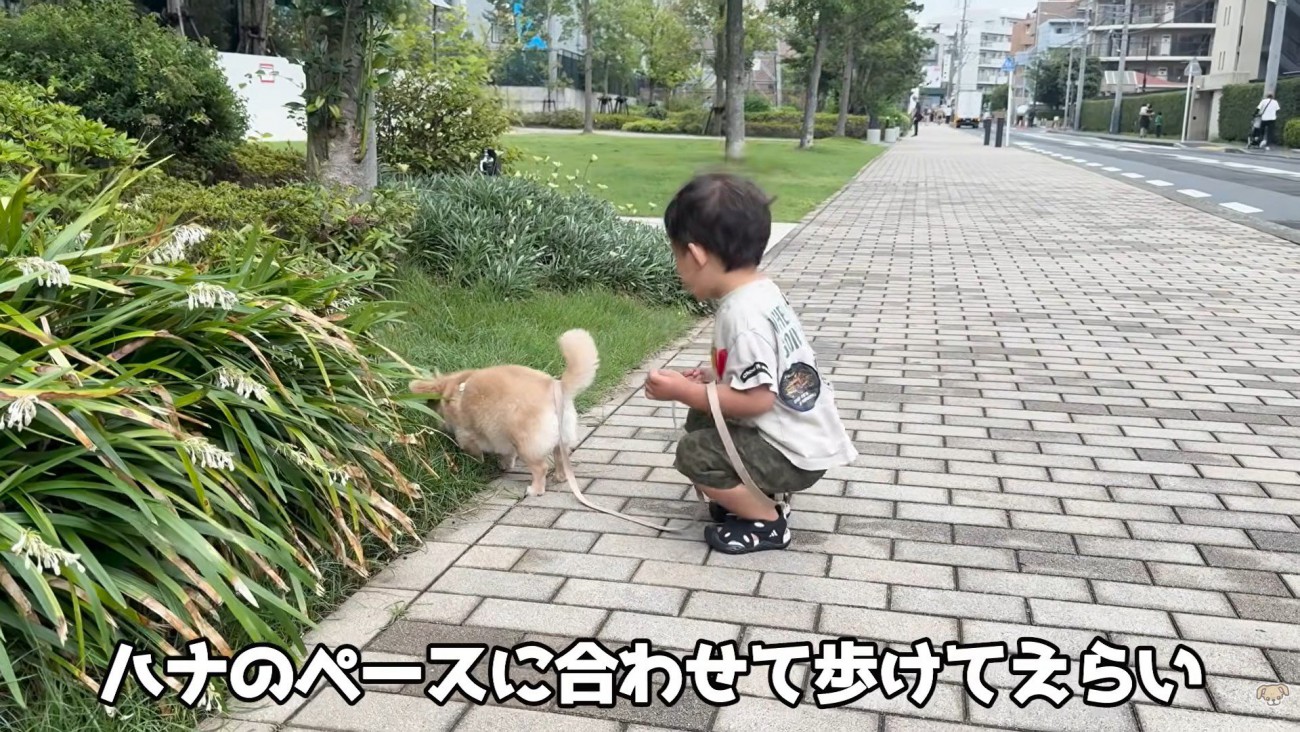 草の匂いをクンクン…