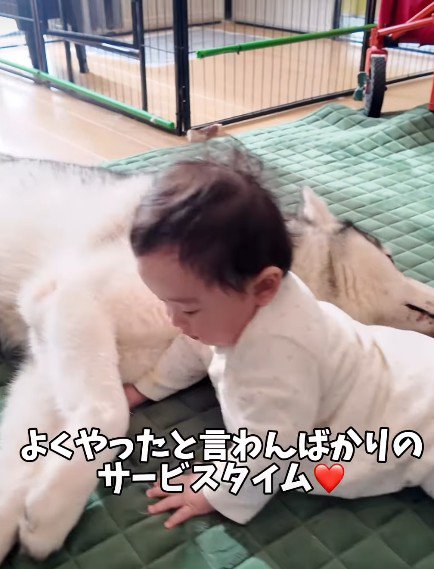 「よくやった」