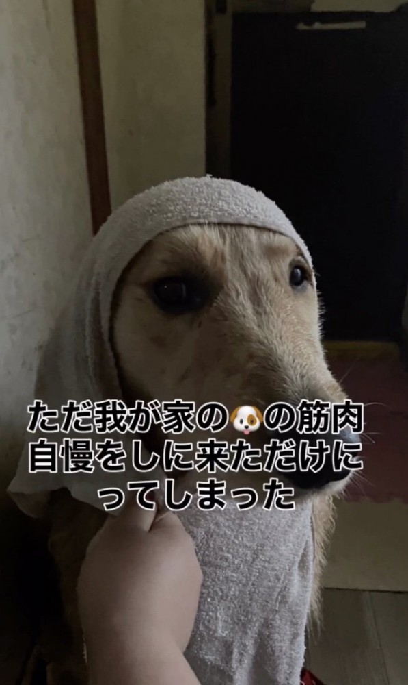 筋肉自慢しちゃいました