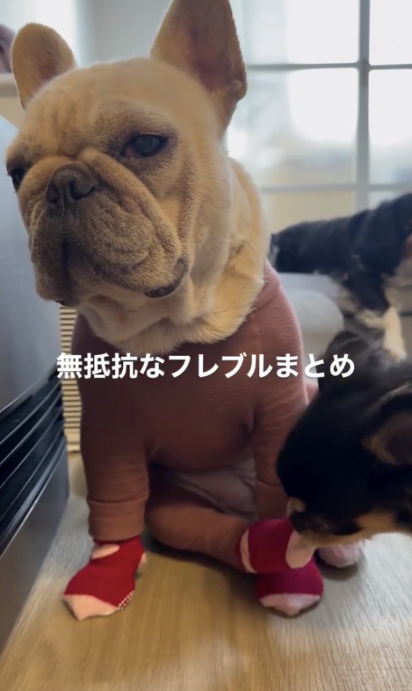 奪いに来てます