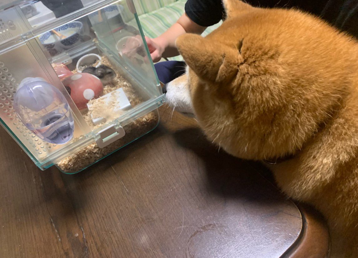 今日は何をしてるのかな？