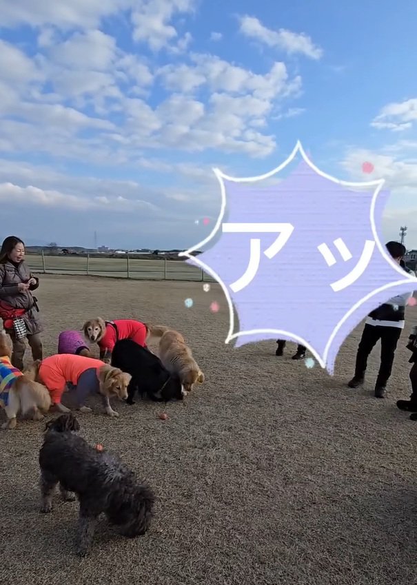 おやつを食べられたにこちゃん