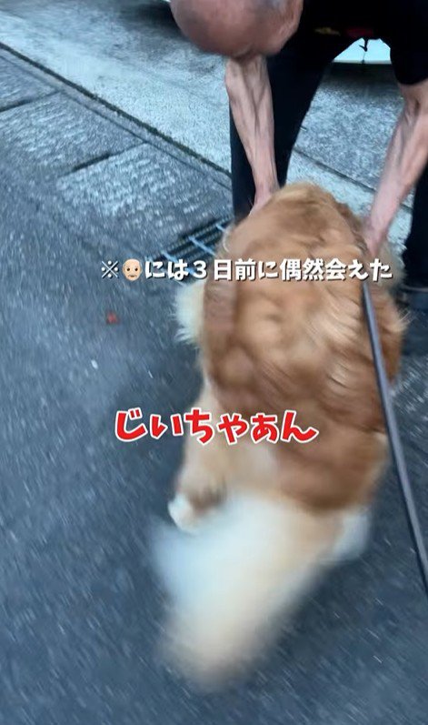 ピノくんとご夫婦の再会6