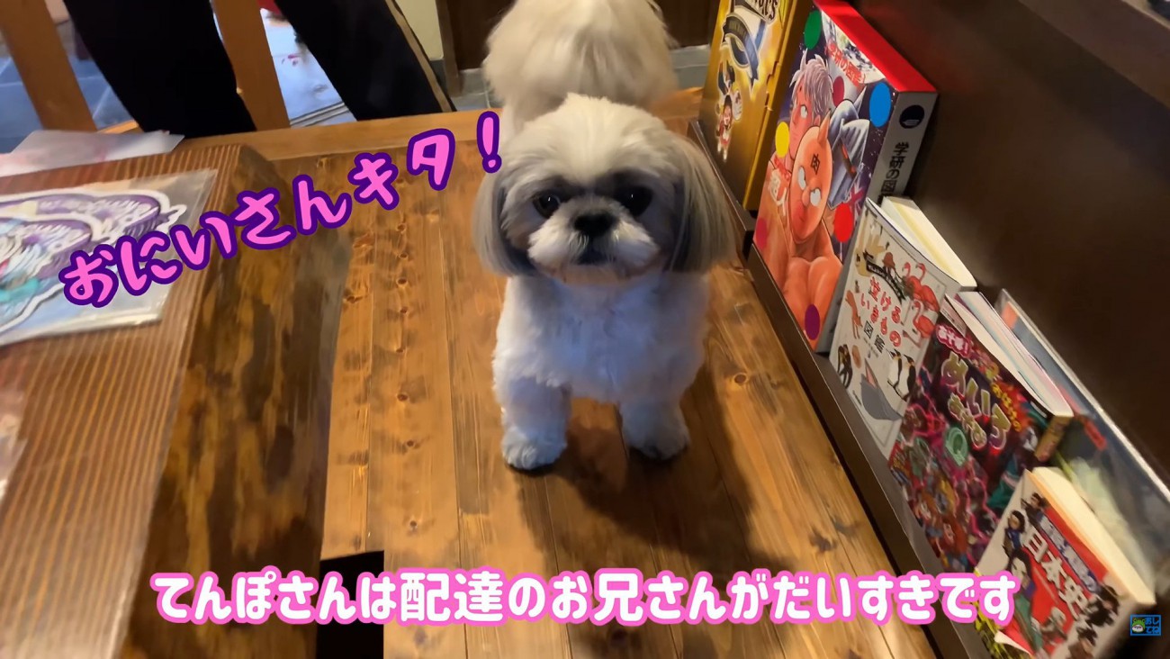 配達員さんに会えて大喜び♪