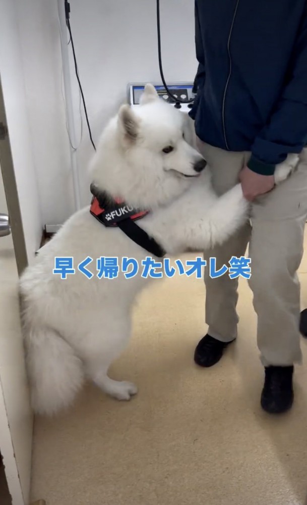 診察台を降りたらへっぴり腰に