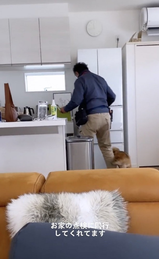 ピッタリとついて行きます