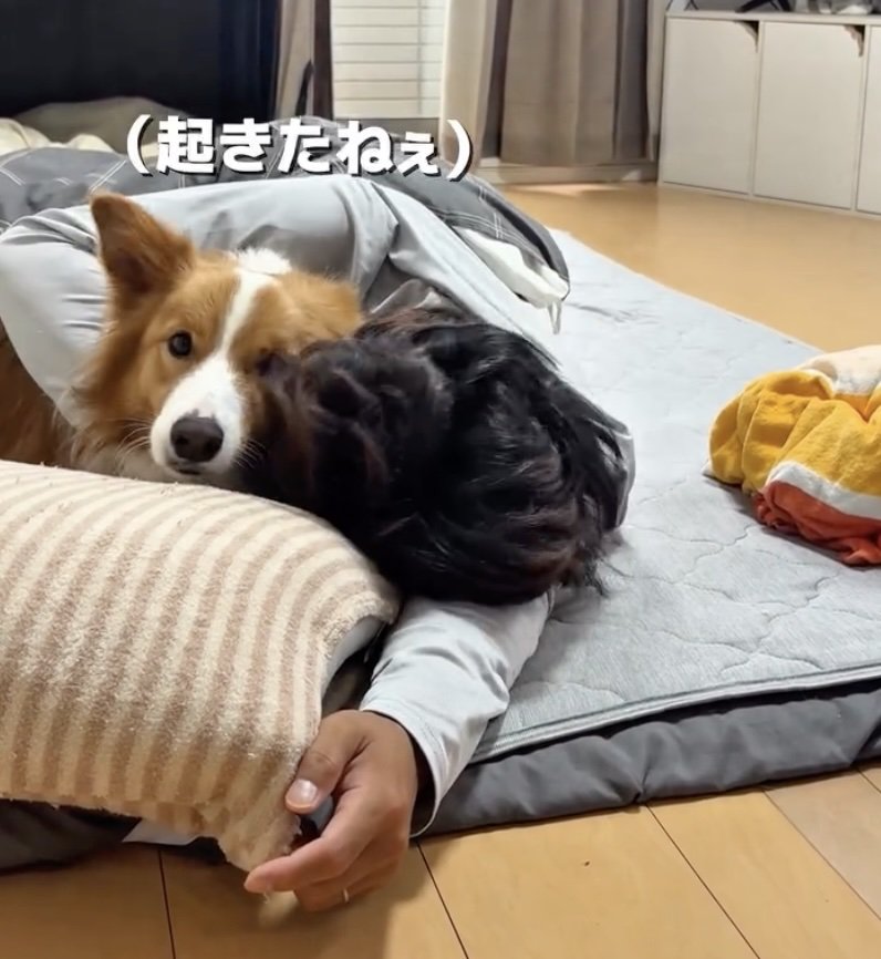 ママに目配せ