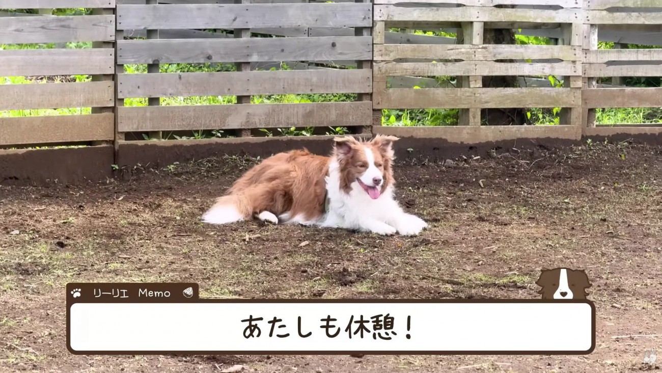 ちょっぴり一休み♪