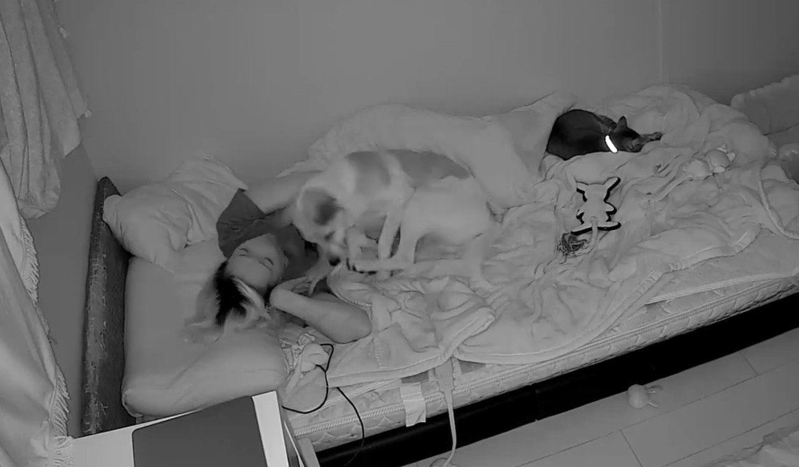 投稿主さんの腕の中へ！